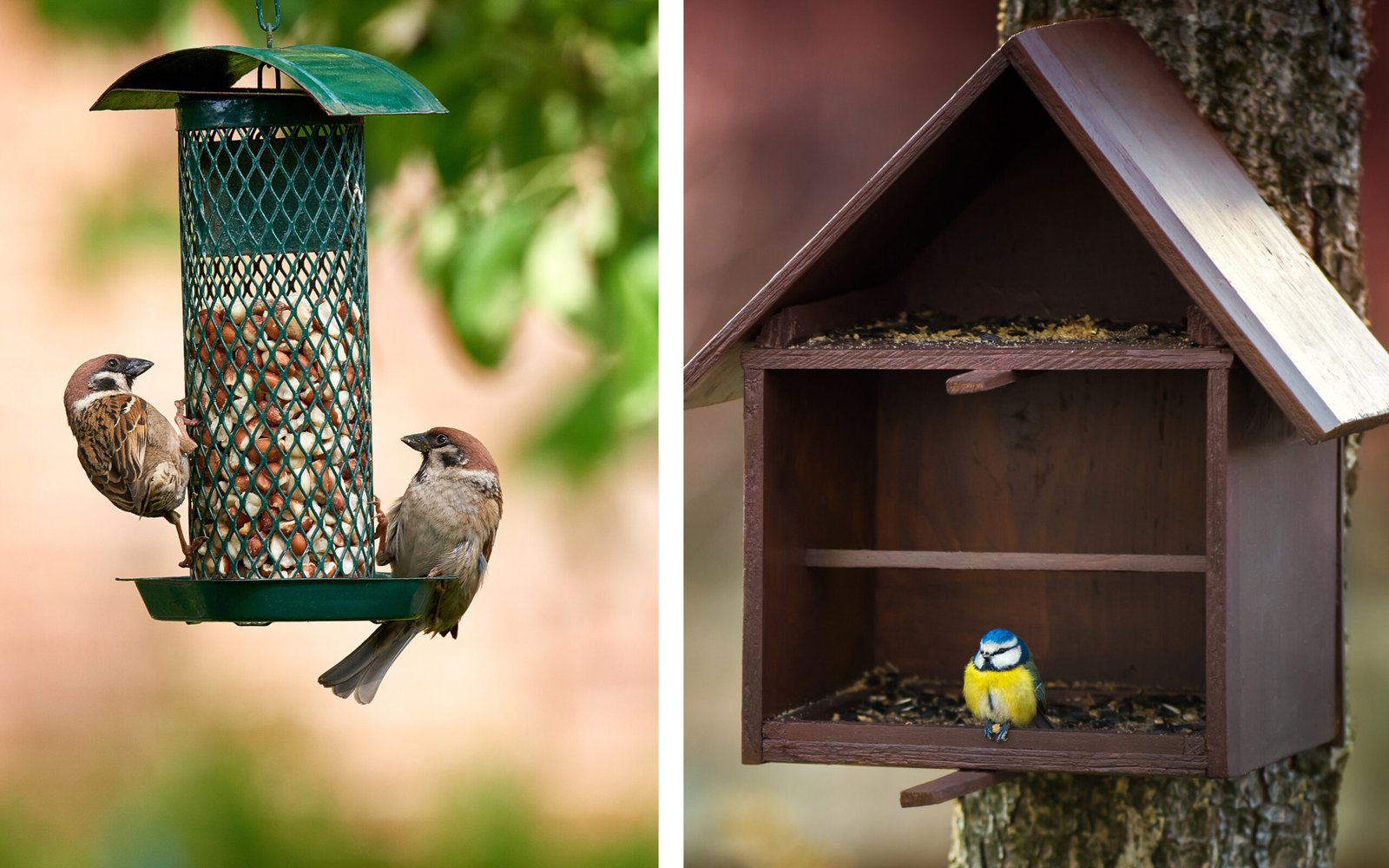 Das Perfekte Vogelhaus Für Den Garten - Mein Schöner Garten intended for Vogelhaus Im Gartenstil