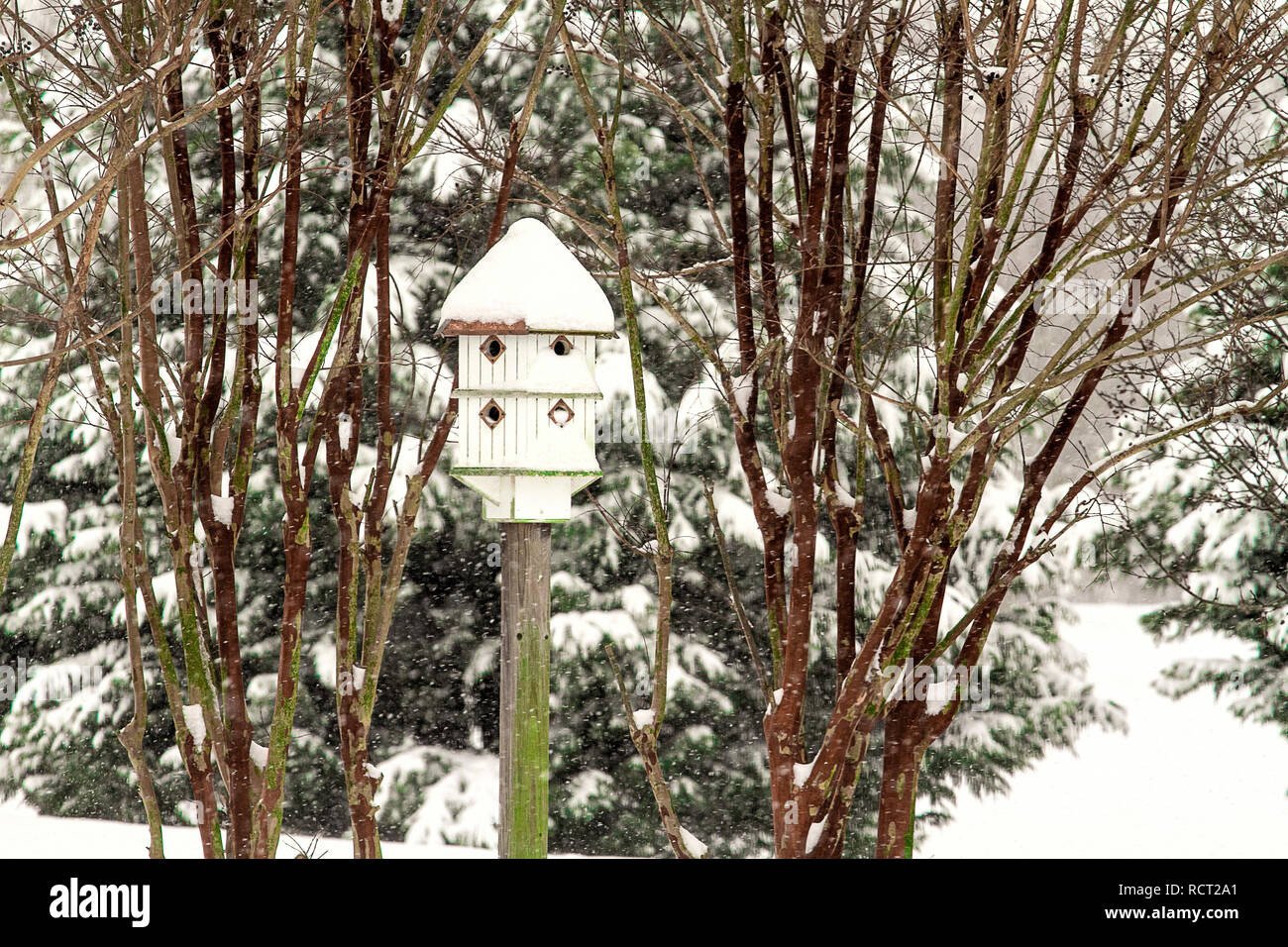 Garten Nach Schneesturm Einschließlich Mit Hohen Vogelhaus Und Ein inside Vogelhaus Mit Rankgitter